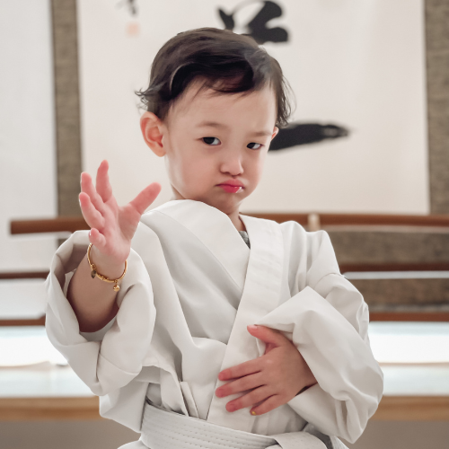 Aikido Shinju-Kai